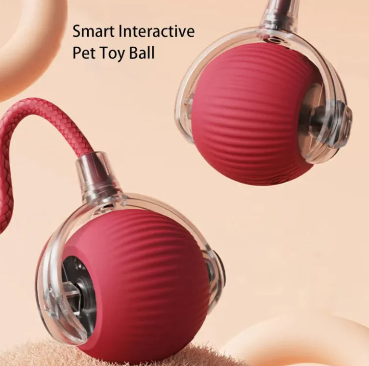Pets Interactive Ball And Rope Toy