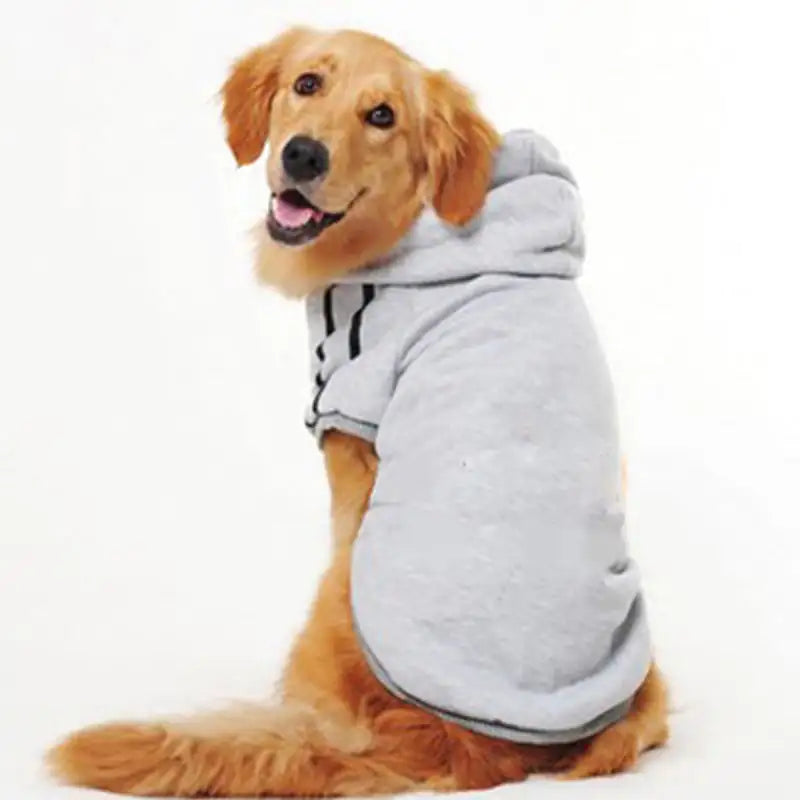 Pet Clothing Collection