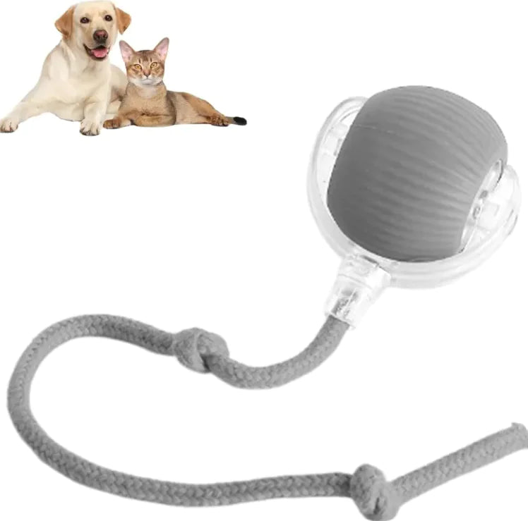 Pets Interactive Ball And Rope Toy