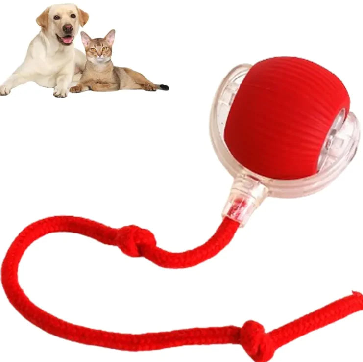 Pets Interactive Ball And Rope Toy