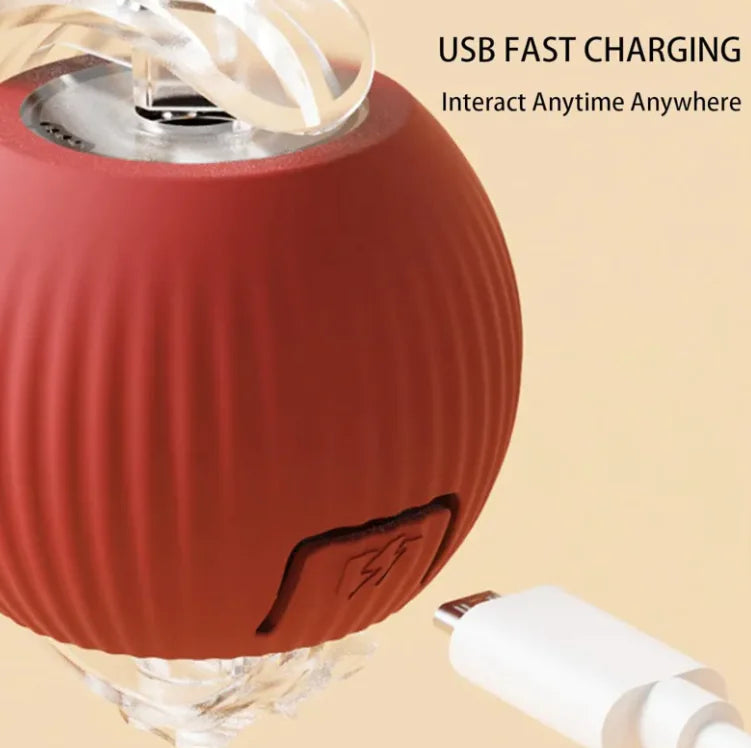 Pets Interactive Ball And Rope Toy