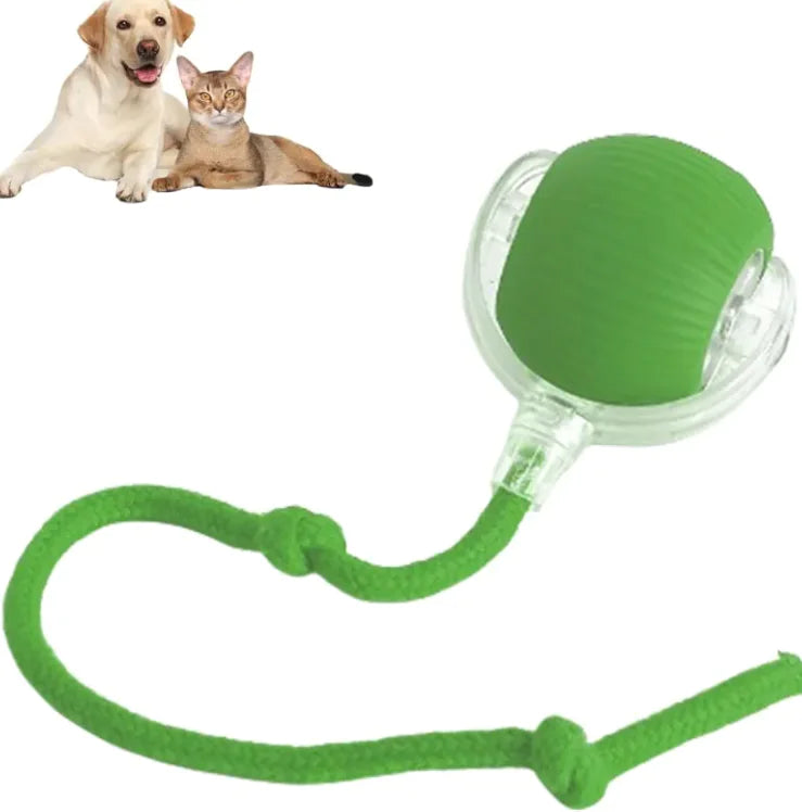Pets Interactive Ball And Rope Toy